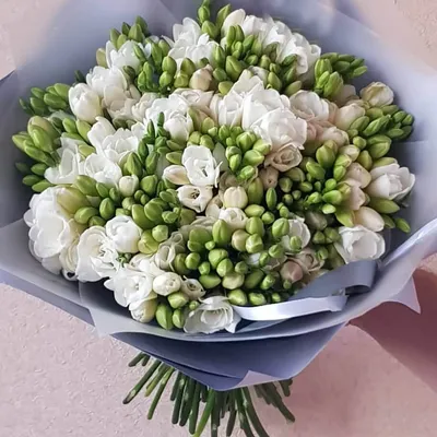 Фрезия белая