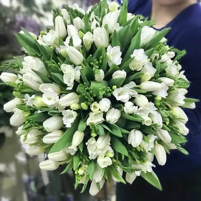 Фрезия желтая 10 шт/уп купить за 250 р. в садовом центре АСТ Медовое