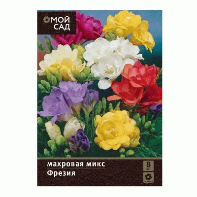 Саженцы розы фрезия купить в Москве по цене от 690 рублей