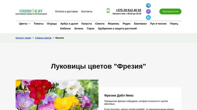 Посадка фрезии: выращивание фрезии - Agro-Market