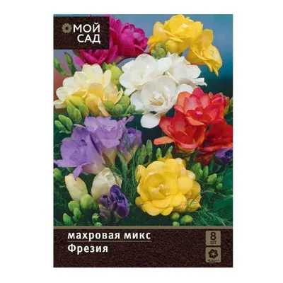 Фрезия махровая Double Purple (Дабл Пурпл)✵ Сады-Эдема.рф – интернет  магазин растений для сада