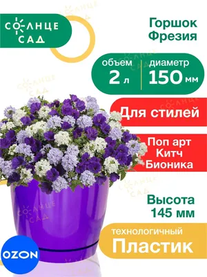 Фрезия Махровая Микс \"Все в сад\" - «ХОЧУ ВЕСНУ..И ПРЯМО СЕЙЧАС! Как создать  настроение при минимуме затрат? Вырастим ФРЕЗИЮ в горшке…не сложно, не  быстро, но доступно и красиво...цветы будут!» | отзывы