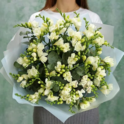 Фрезия | Букет из Фрезии | Интернет-магазин цветов dakotaflora.com