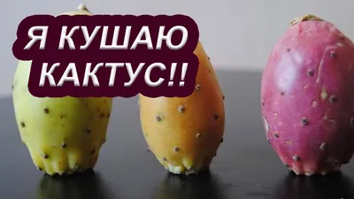 картинки : кактус, фрукты, Пища, Зеленый, Красный, производить, Сочный,  Кактусы, Кактусовые, Нарезанный, цветущее растение, опунция, Наземный  завод, Нопал, Варварский рис, Созрел 2968x2032 - - 1248778 - красивые  картинки - PxHere