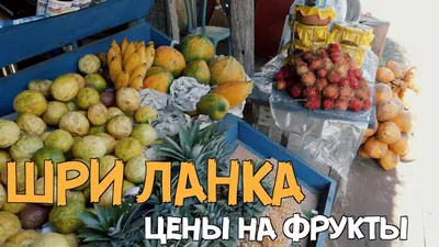 Разнообразие фруктов и овощей на рынке Шри-Ланки Стоковое Изображение -  изображение насчитывающей шатер, цейлон: 159014783