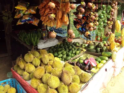 Сколько стоят фрукты на Шри-Ланке. И почему я не привез манго с отдыха,  хотя цена всего 50 рублей за кило | Полезные советы от Мишани | Дзен