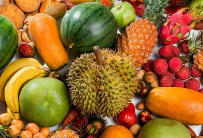 Экзотические фрукты Вьетнама: названия и фото, цены, фрукты по месяцам, как  везти в самолете.