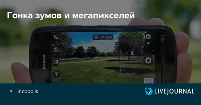 Сойки | Пикабу