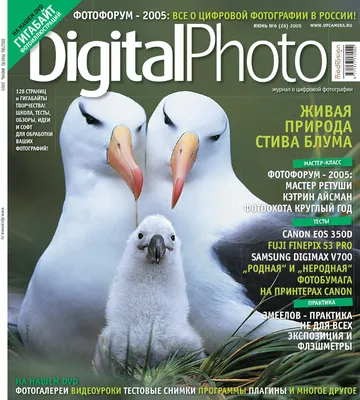 Купить Fujifilm FinePix S9800 по Промокоду SIDEX250 в г. Москва + обзор и  отзывы - Фотоаппараты цифровые в Москва (Артикул: NWMXTF)