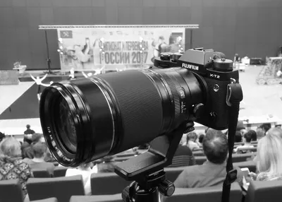 Объектив: Viltrox AF 56 mm f/ 1.4 STM ED IF - тестовая фотография ::  Lens-Club.ru