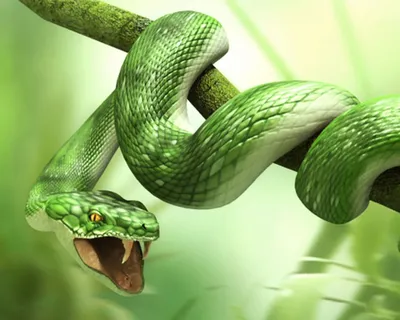 Фото гадюки: красивые изображения змеи для обоев