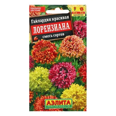 Погружение в цветочное море с Гайллардией
