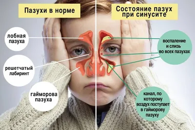 Подскажите по снимку | Пикабу