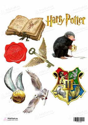 Картинка для торта \"Гарри Поттер (Harry Potter)\" - PT101350 печать на  сахарной пищевой бумаге