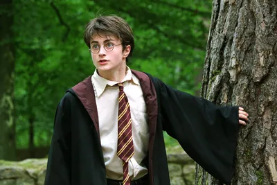 Поклонница «Гарри Поттера» при помощи нейросети выяснила, как выглядели бы  герои книги в жизни - Горящая изба