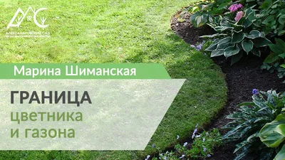 Ландшафтный дизайн газонов и клумб на даче с фото
