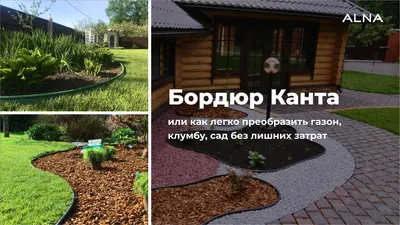 Комбинированный Газон И Клумба Текстура Фона Мульчи Коры Малая Щепы  Древесины Используемая Как Заволакивание Почвы В Саде — стоковые фотографии  и другие картинки Без людей - iStock
