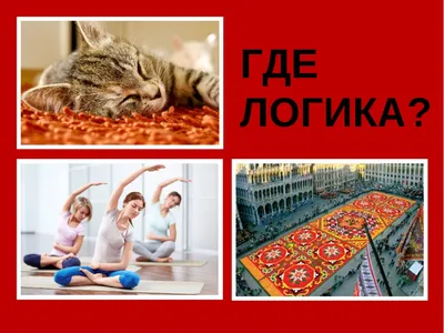 Игры с долей. «Где логика?» и борьба за 8 Марта / Аналитика / Media  Business Reports