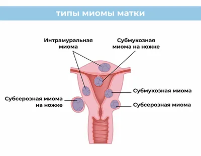 Как найти точку g - 18 февраля 2023 - 29.ру