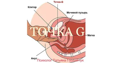 Где расположена точка g фото фотографии