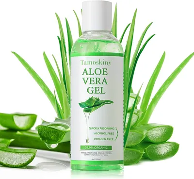 Aloe vera gel from 100 percent Pure Aloe Infused with Tea Tree Oil - N –  First Botany