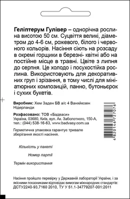 Вдохновляющие обои с Гелиптерумом: бесплатное скачивание 