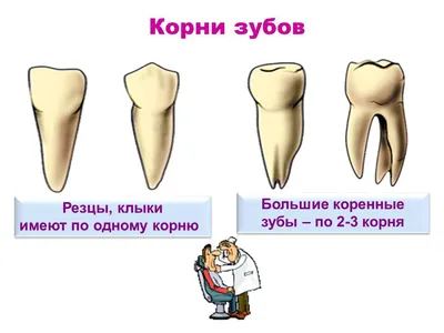 Применение гемостатических губок