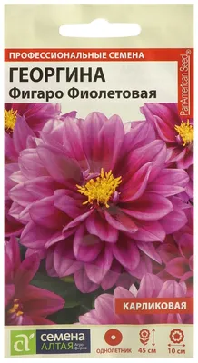 п.ф.) Георгина Фигаро Еллоу Шейдес F1, купить в интернет-магазине OnProfi  Ростов-на-Дону