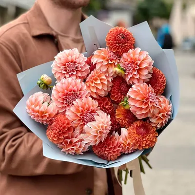 Саженцы георгин 7 Цветов Спектекл 1 шт. - купить в Москве, цены на  Мегамаркет