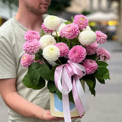 Георгин \"Темпест\" - цена, купить цветы упаковками с доставкой в Москве -  магазин ПРОСТОЦВЕТЫ
