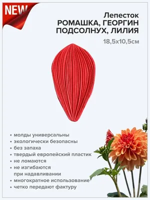 Молд NEW! Цветок георгина, ромашки, универсальный D-11 см - Материалы для  творчества. ИЗОЛОН, ФОАМИРАН, SOFTIN, IXPE-FOAM
