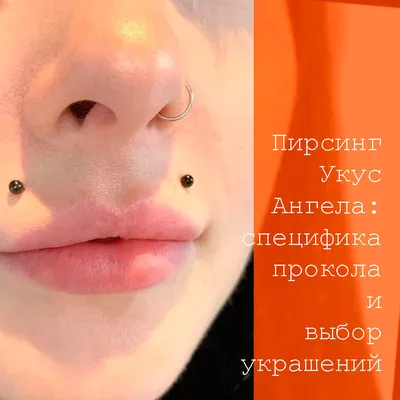 Прокол ушей в Самаре - #пирсинггубы ✓Самый безопасный вид пирсинга: 👄на  губах нет сложных нервных узлов 👄на губах нет твердых тканей Популярные  виды прокола губы: 💎лабрет 💎георгин 💎медуза 💎мадонна Процедура  практически не