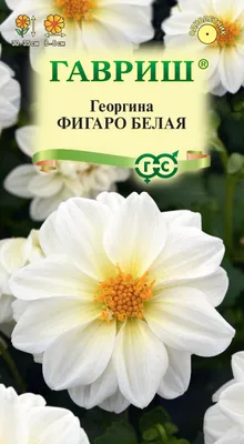 Георгина белая силикон/60см – Natural Touch Flowers