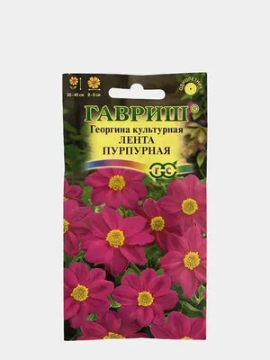 Семена цветов Георгина \"Желанная\" купить по цене 49 ₽ в интернет-магазине  KazanExpress