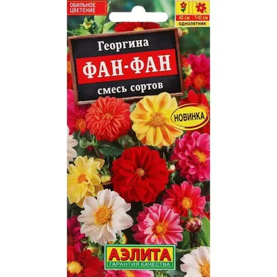 Георгина махровая Радуга цветов,смесь окрасок 0,3г, семена | Купить в  интернет магазине Аэлита
