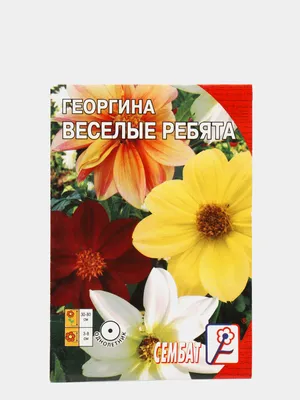 Цветок Георгина искусственный в ассортименте купить по цене 304 грн |  Украфлора