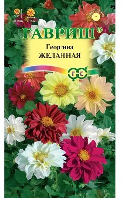 Семена Георгины \"Лучшее предложение\" купить по цене 59 ₽ в  интернет-магазине KazanExpress