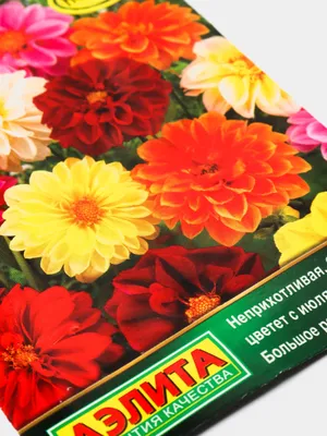 Семена цветов Георгина \"Баттерфляй\", 200%, 0,5 г (10258829) - Купить по  цене от 21.40 руб. | Интернет магазин SIMA-LAND.RU