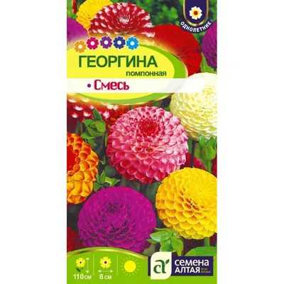 Семена георгина \"Веселые ребята\", 3 упаковки + 2 подарка — купить в  интернет-магазине по низкой цене на Яндекс Маркете