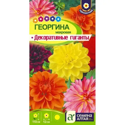 Семена цветов Георгина Помпонная смесь 0.5г | Семена цветов | Фиалка.net