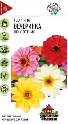Купить семена Георгина Ерошка, смесь 0,2 г по лучшей цене с доставкой по  Москве и РФ
