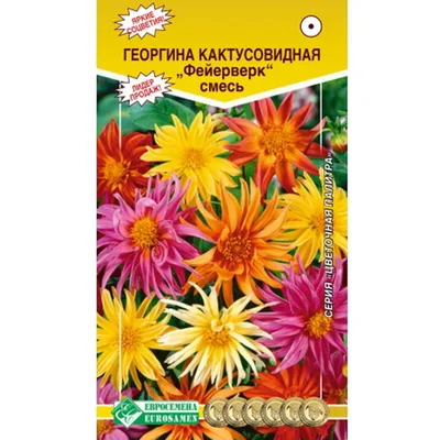Семена цветов георгины меняющейся SeedEra Веселые ребята, 0,5 г - ОЛДІ