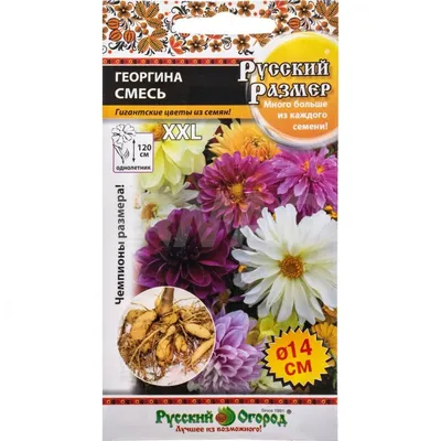 Семена цветов георгины \"Махровая смесь\" купить по цене 59 ₽ в  интернет-магазине KazanExpress