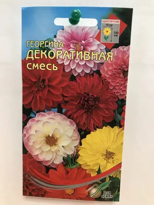 Семена Георгина Радуга 0,3гр купить с доставкой в МЕГАСТРОЙ Россия