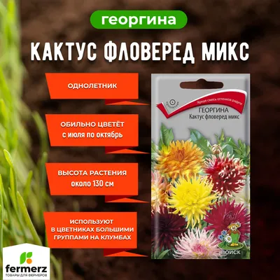 Семена цветов Георгина коларетте Денди микс Поиск (0.2 г) - Купить с  доставкой в СТРОЙУДАЧЕ