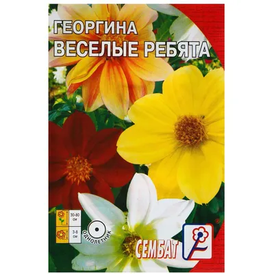 Семена цветов георгины меняющейся SeedEra Веселые ребята, 0,5 г - ОЛДІ