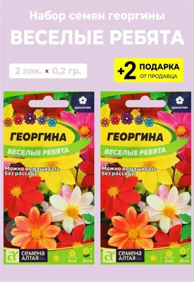 Георгина Веселые ребята. (ID#1539808249), цена: 12 ₴, купить на Prom.ua