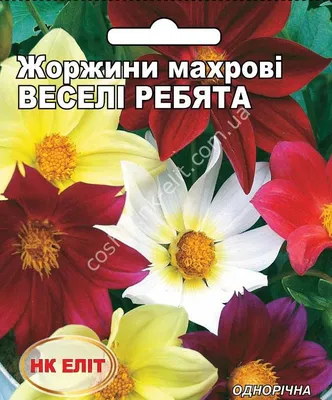 Лц/георгина Веселые ребята О*0,2г (500) - купить в Минске|по Беларуси с  доставкой оптом