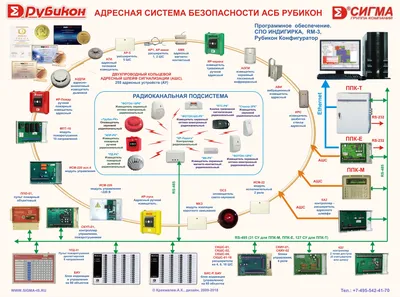 Стройка коронавирусной больницы в Петербурге попала под запрет. Инспектор  ГИБДД Кузнецов прав, но его накажут - 29 марта 2020 - Фонтанка.Ру