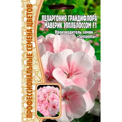 Герань садовая - применение в ландшафте | GreenMarket